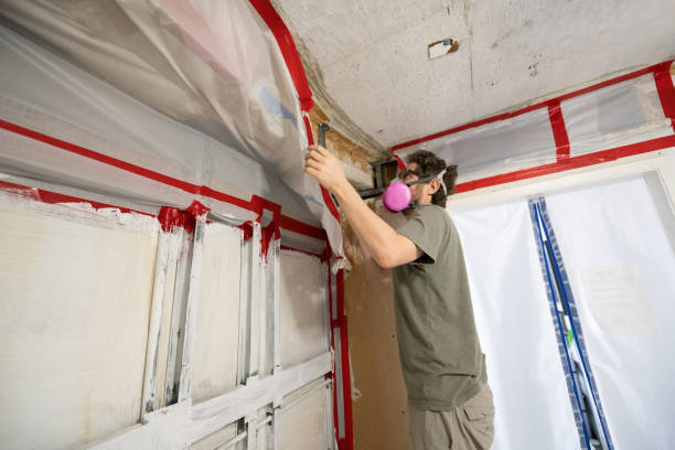 Best Black Mold Removal  in Lincoln Rk, PA