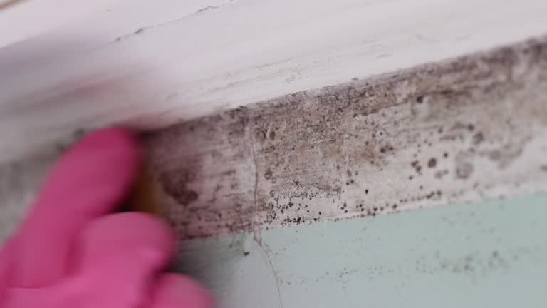 Best Mold Prevention Services  in Lincoln Rk, PA